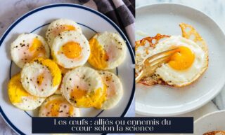 Les œufs : alliés ou ennemis du cœur selon la science