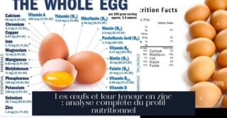 Les œufs et leur teneur en zinc : analyse complète du profil nutritionnel