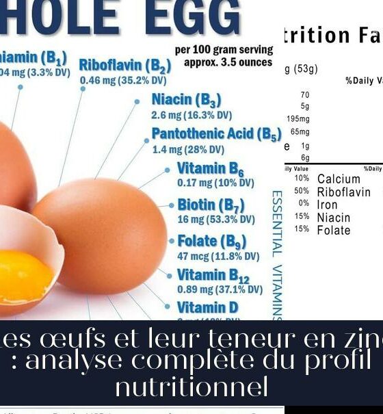 Les œufs et leur teneur en zinc : analyse complète du profil nutritionnel