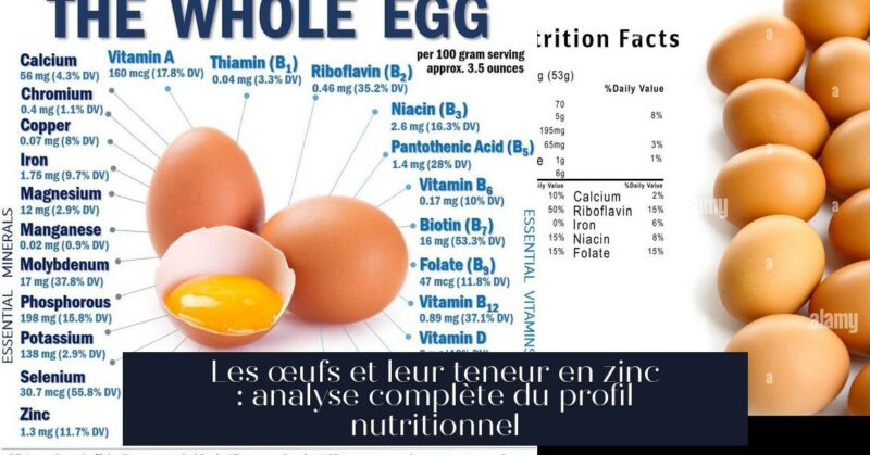 Les œufs et leur teneur en zinc : analyse complète du profil nutritionnel