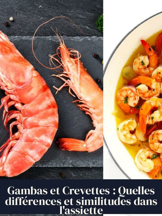 Gambas et Crevettes : Quelles différences et similitudes dans l'assiette
