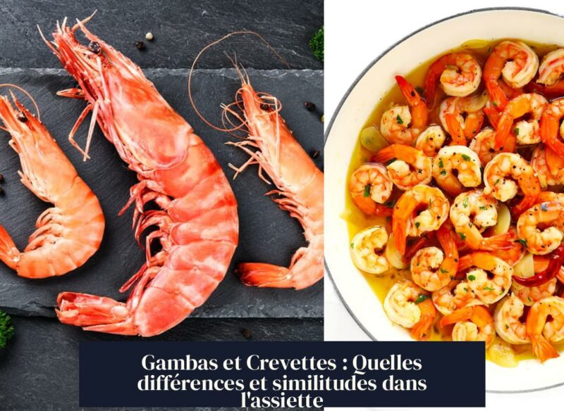 Gambas et Crevettes : Quelles différences et similitudes dans l'assiette