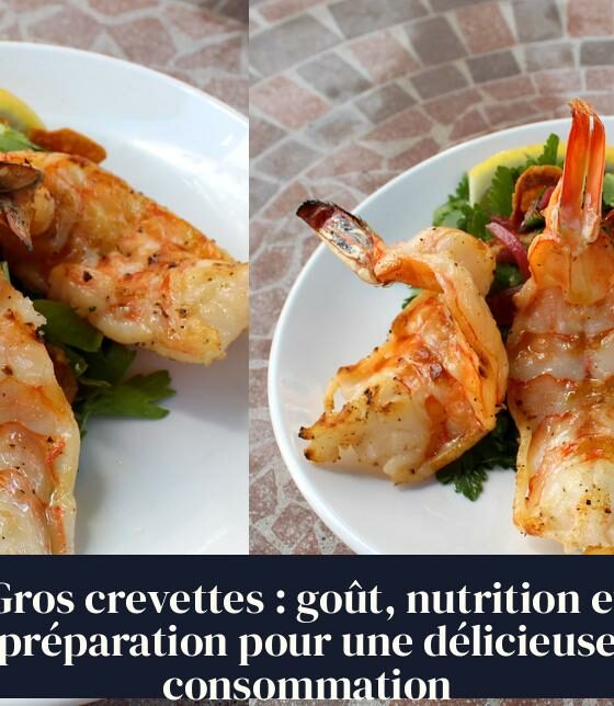 Gros crevettes : goût, nutrition et préparation pour une délicieuse consommation