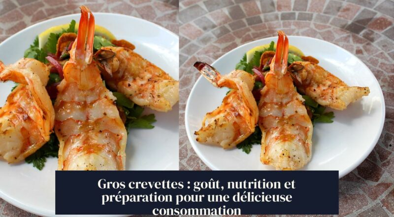 Gros crevettes : goût, nutrition et préparation pour une délicieuse consommation