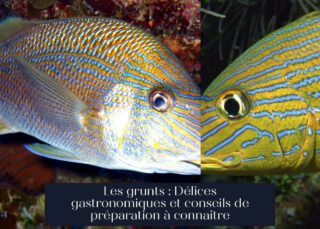 Les grunts : Délices gastronomiques et conseils de préparation à connaître