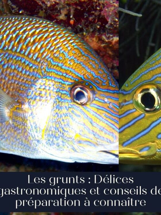 Les grunts : Délices gastronomiques et conseils de préparation à connaître