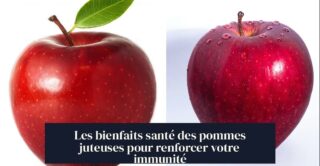 Les bienfaits santé des pommes juteuses pour renforcer votre immunité