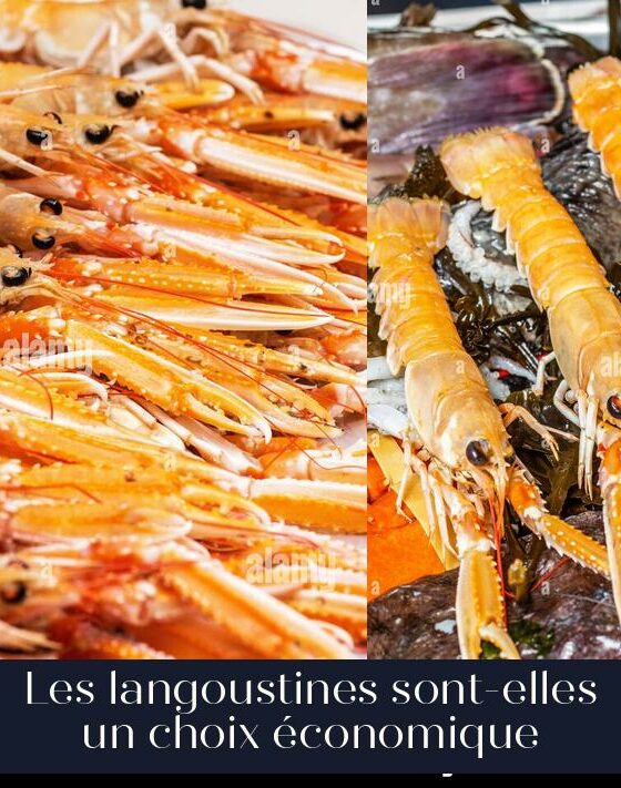 Les langoustines sont-elles un choix économique