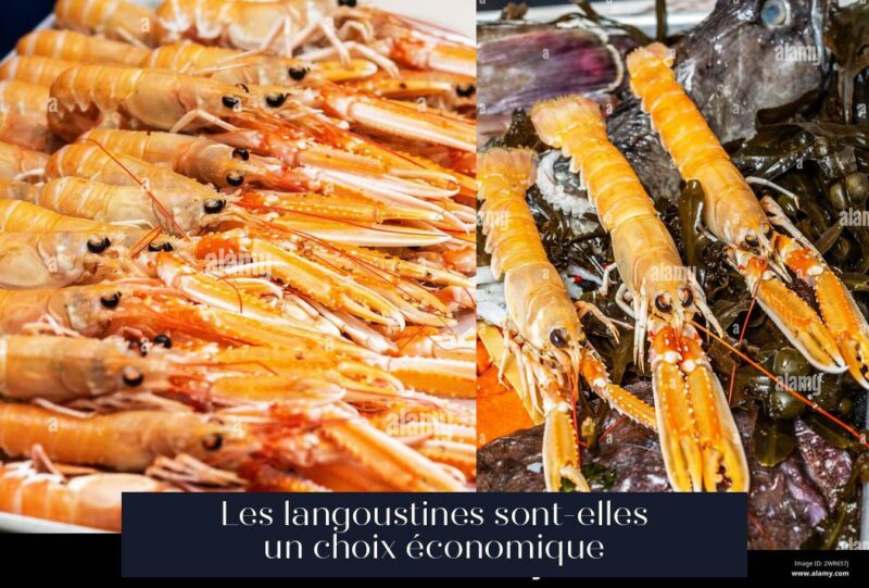 Les langoustines sont-elles un choix économique