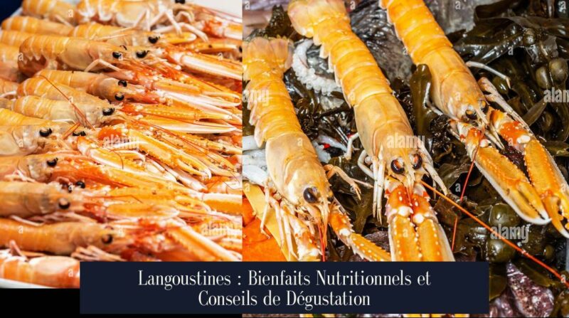 Langoustines : Bienfaits Nutritionnels et Conseils de Dégustation