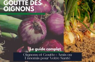 Oignons et Goutte : Amis ou Ennemis pour Votre Santé