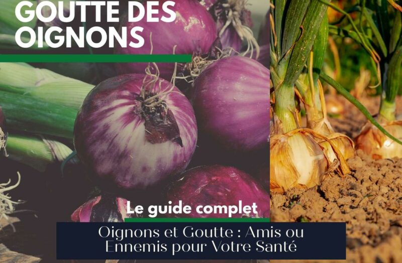 Oignons et Goutte : Amis ou Ennemis pour Votre Santé