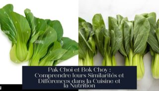 Pak Choi et Bok Choy : Comprendre leurs Similarités et Différences dans la Cuisine et la Nutrition
