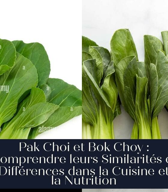Pak Choi et Bok Choy : Comprendre leurs Similarités et Différences dans la Cuisine et la Nutrition