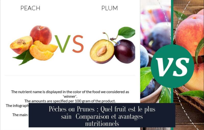 Pêches ou Prunes : Quel fruit est le plus sain Comparaison et avantages nutritionnels