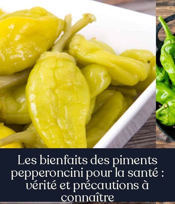 Les bienfaits des piments pepperoncini pour la santé : vérité et précautions à connaître