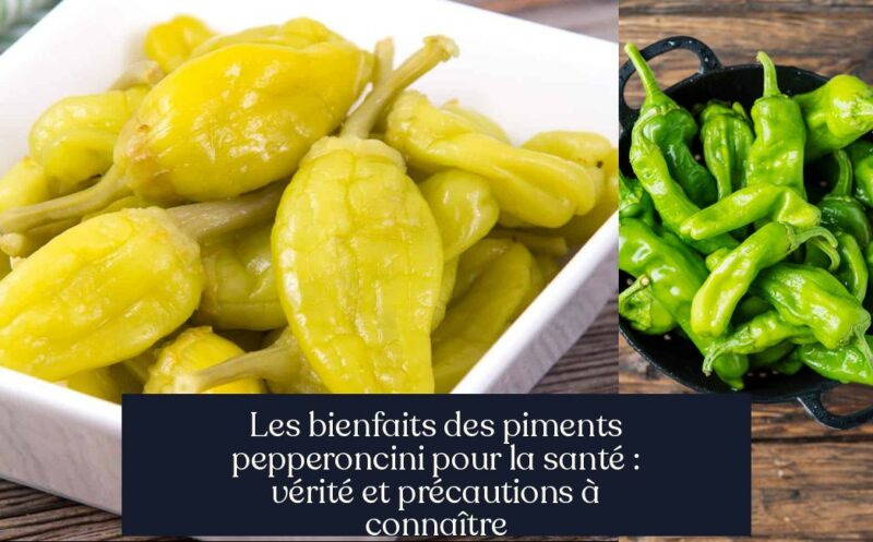 Les bienfaits des piments pepperoncini pour la santé : vérité et précautions à connaître