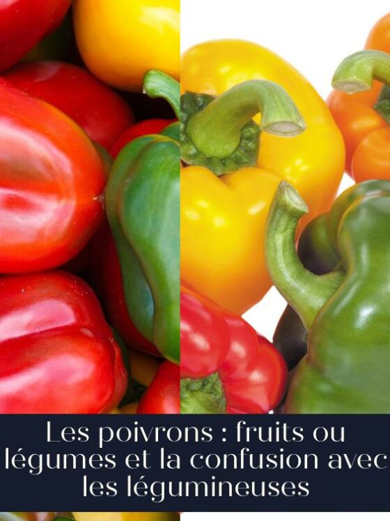 Les poivrons : fruits ou légumes et la confusion avec les légumineuses