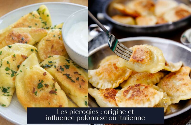 Les pierogies : origine et influence polonaise ou italienne