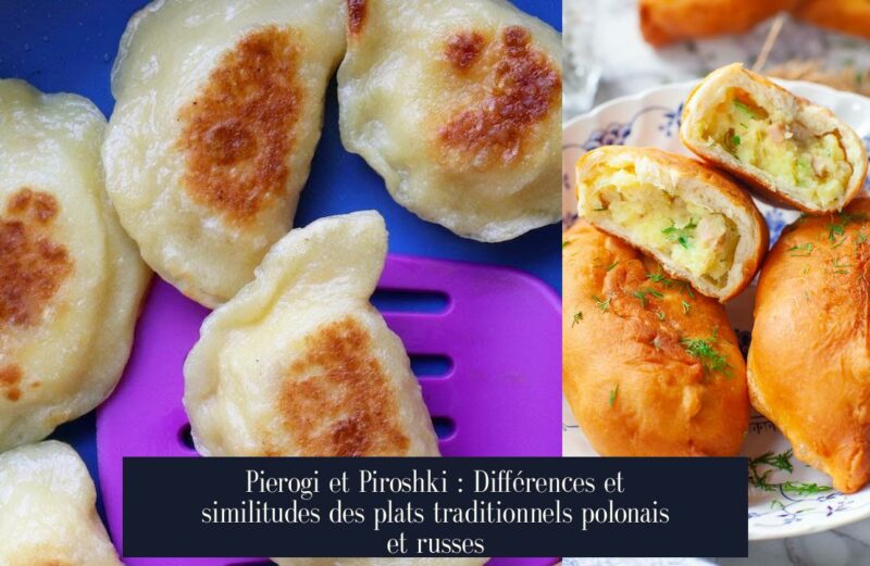 Pierogi et Piroshki : Différences et similitudes des plats traditionnels polonais et russes