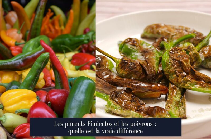Les piments Pimientos et les poivrons : quelle est la vraie différence