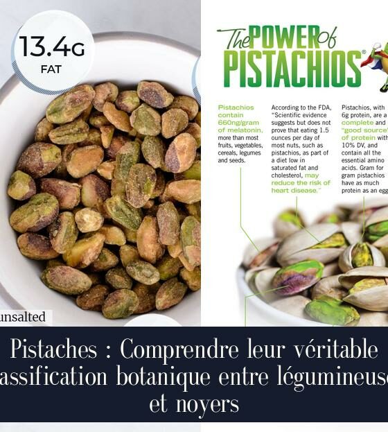 Pistaches : Comprendre leur véritable classification botanique entre légumineuses et noyers