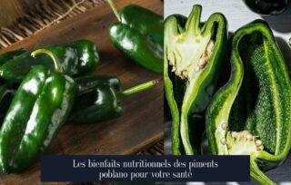 Les bienfaits nutritionnels des piments poblano pour votre santé