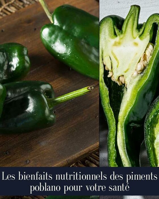 Les bienfaits nutritionnels des piments poblano pour votre santé