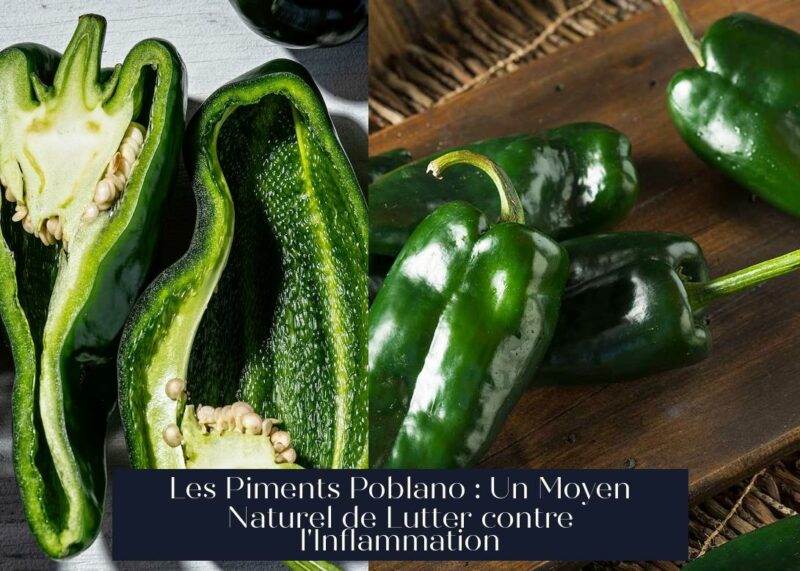Les Piments Poblano : Un Moyen Naturel de Lutter contre l'Inflammation