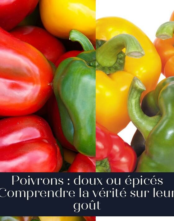 Poivrons : doux ou épicés Comprendre la vérité sur leur goût