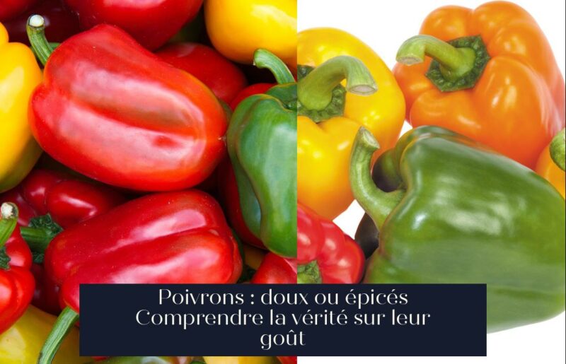 Poivrons : doux ou épicés Comprendre la vérité sur leur goût