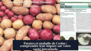Patates et maladie de Crohn : comprendre leur impact sur votre santé intestinale