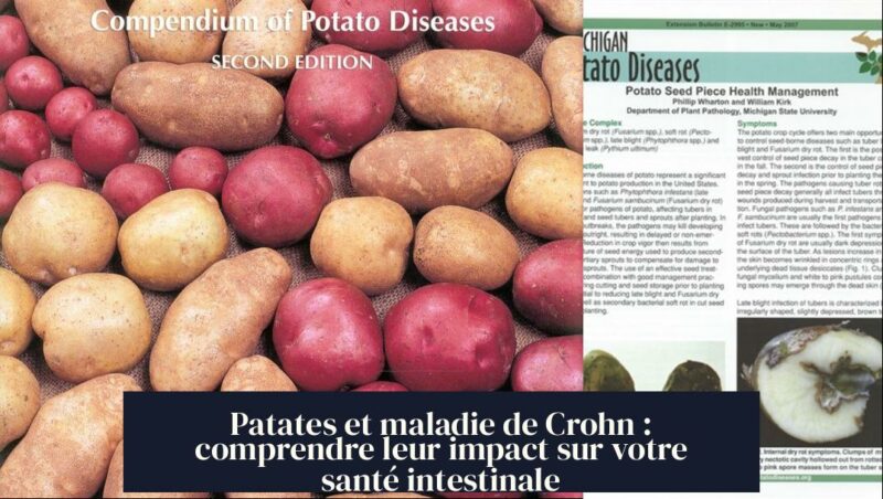 Patates et maladie de Crohn : comprendre leur impact sur votre santé intestinale