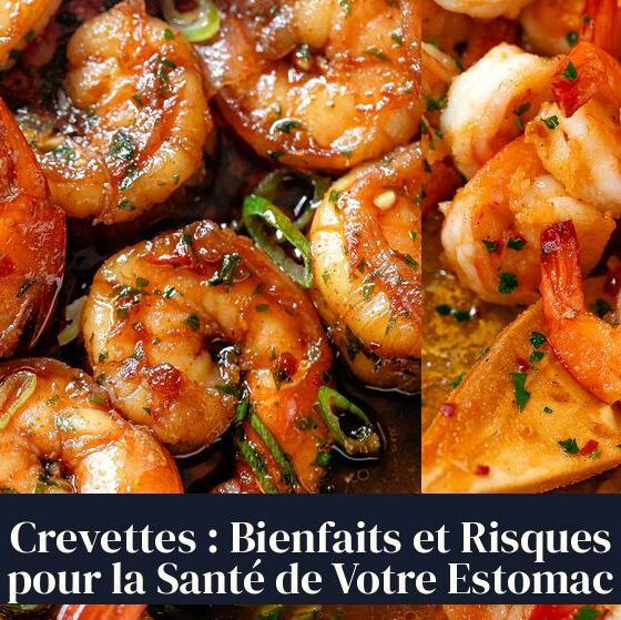 Crevettes : Bienfaits et Risques pour la Santé de Votre Estomac