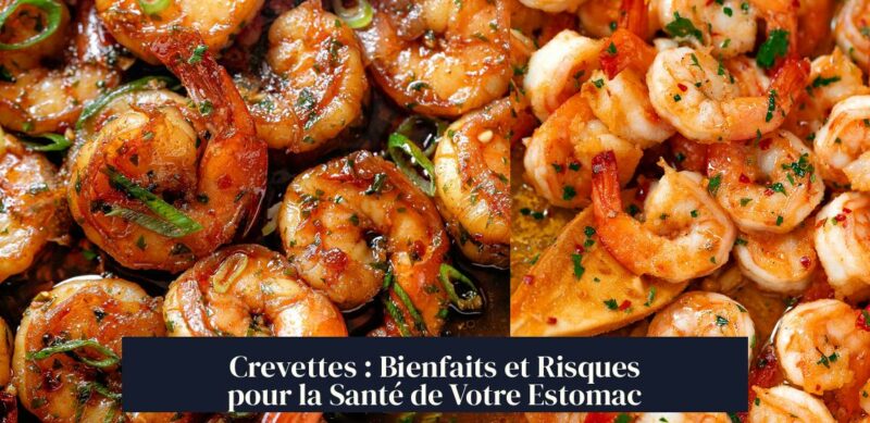 Crevettes : Bienfaits et Risques pour la Santé de Votre Estomac