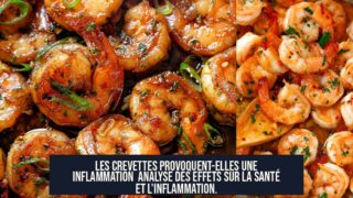 Les crevettes provoquent-elles une inflammation Analyse des effets sur la santé et l'inflammation.