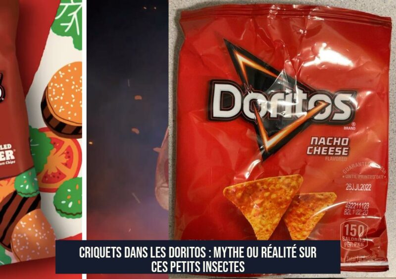 Criquets dans les Doritos : Mythe ou Réalité sur ces Petits Insectes