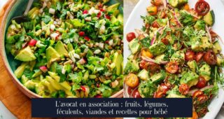 L'avocat en association : fruits, légumes, féculents, viandes et recettes pour bébé