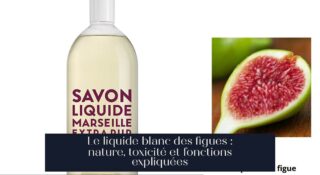Le liquide blanc des figues : nature, toxicité et fonctions expliquées