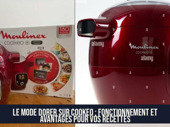 Le mode dorer sur Cookeo : fonctionnement et avantages pour vos recettes