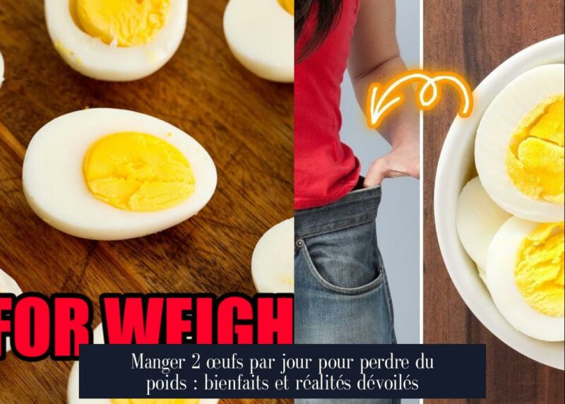 Manger 2 œufs par jour pour perdre du poids : bienfaits et réalités dévoilés