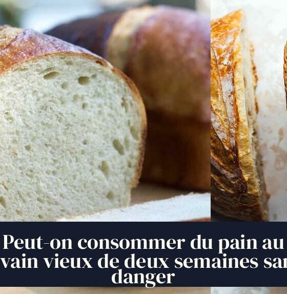 Peut-on consommer du pain au levain vieux de deux semaines sans danger