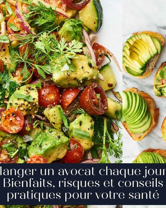 Manger un avocat chaque jour : Bienfaits, risques et conseils pratiques pour votre santé