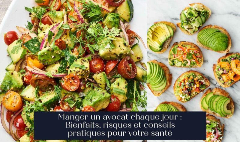 Manger un avocat chaque jour : Bienfaits, risques et conseils pratiques pour votre santé
