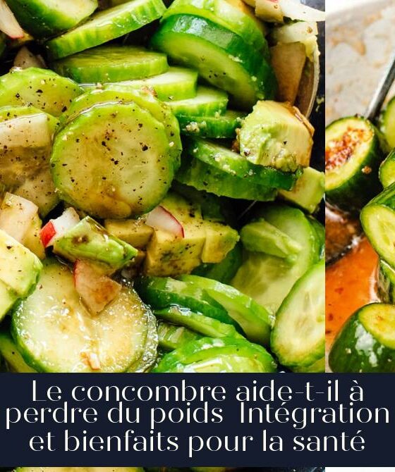Le concombre aide-t-il à perdre du poids Intégration et bienfaits pour la santé