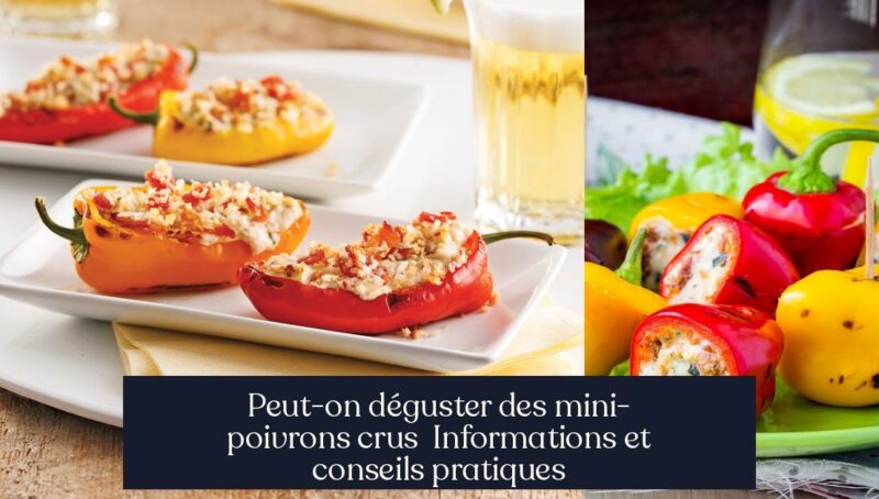 Peut-on déguster des mini-poivrons crus Informations et conseils pratiques