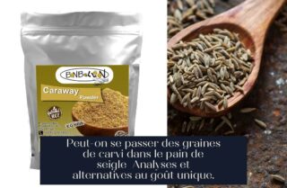 Peut-on se passer des graines de carvi dans le pain de seigle Analyses et alternatives au goût unique.
