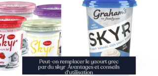 Peut-on remplacer le yaourt grec par du skyr Avantages et conseils d'utilisation