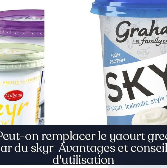 Peut-on remplacer le yaourt grec par du skyr Avantages et conseils d'utilisation