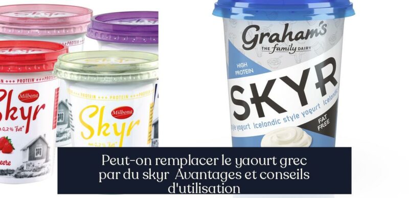Peut-on remplacer le yaourt grec par du skyr Avantages et conseils d'utilisation